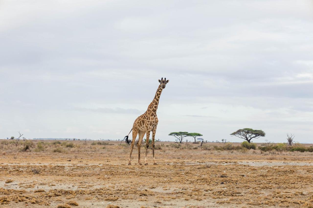 Wild Amboseli Ndovu Cottage. 外观 照片