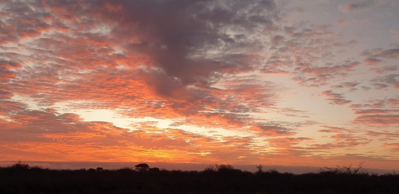 Wild Amboseli Ndovu Cottage. 外观 照片