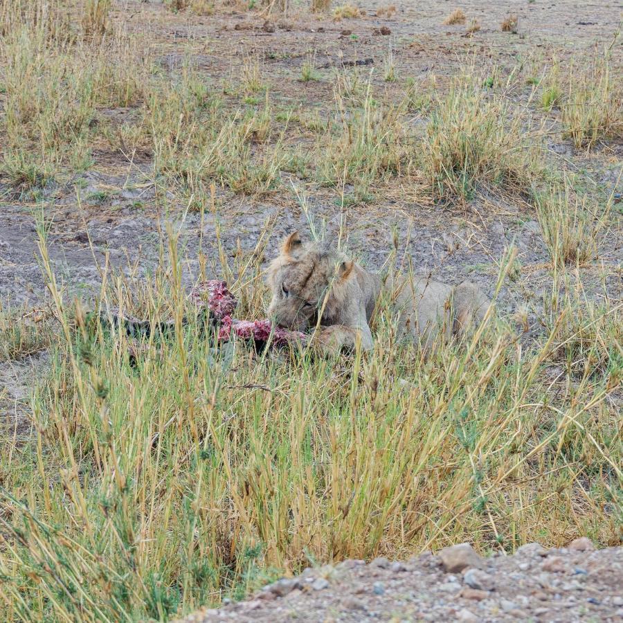Wild Amboseli Ndovu Cottage. 外观 照片
