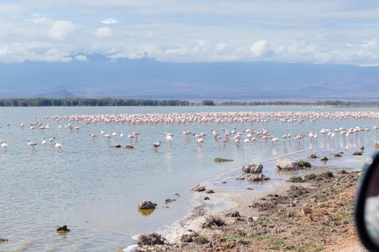 Wild Amboseli Ndovu Cottage. 外观 照片