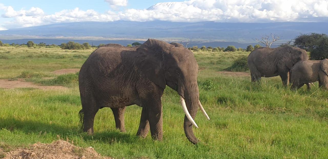 Wild Amboseli Ndovu Cottage. 外观 照片