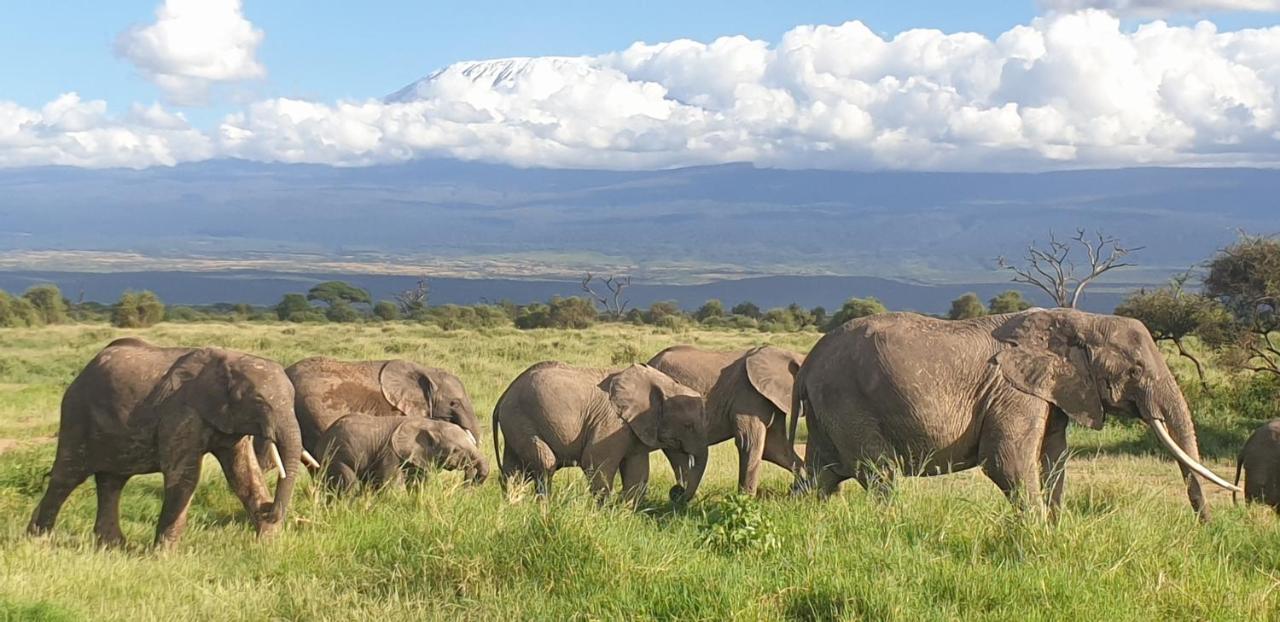 Wild Amboseli Ndovu Cottage. 外观 照片