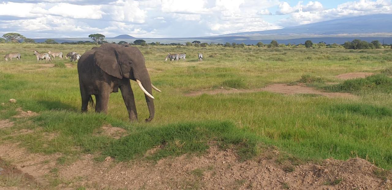 Wild Amboseli Ndovu Cottage. 外观 照片