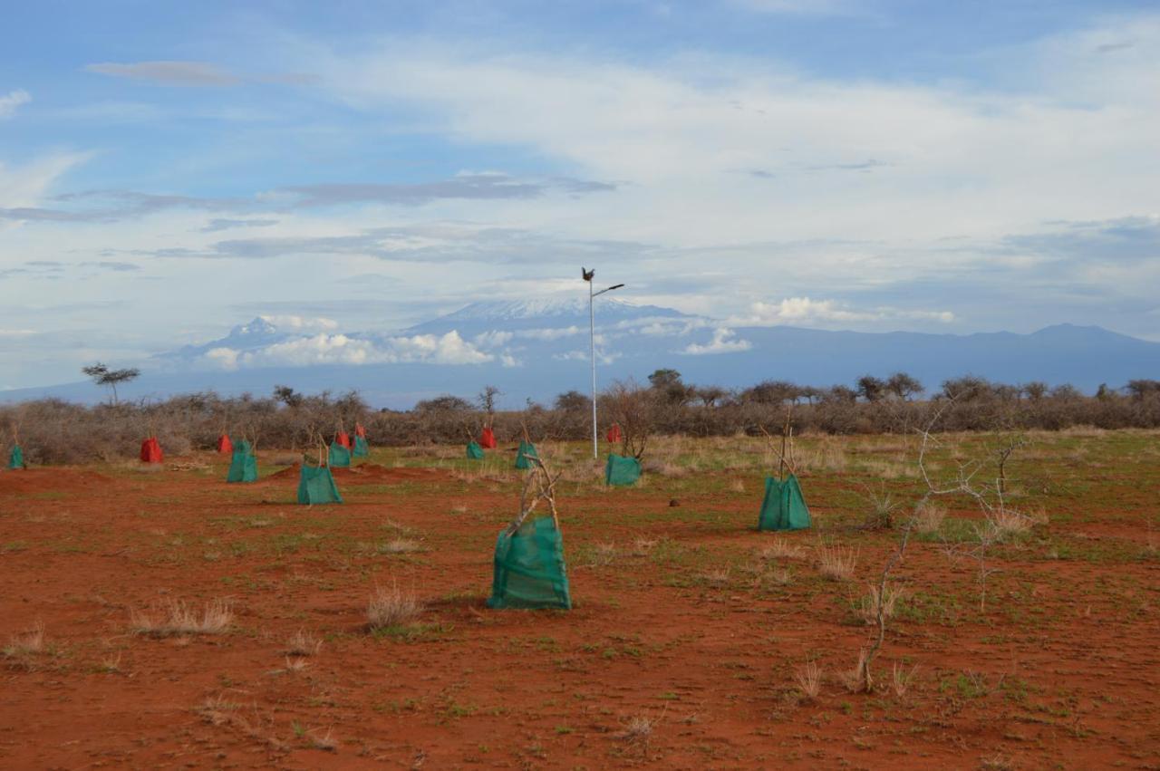 Wild Amboseli Ndovu Cottage. 外观 照片