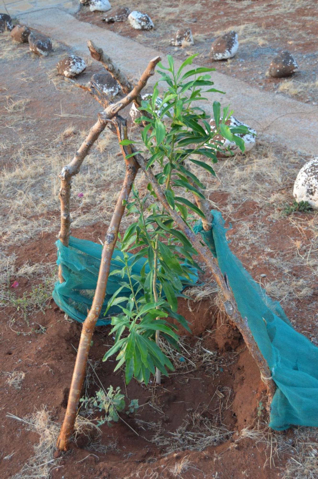 Wild Amboseli Ndovu Cottage. 外观 照片