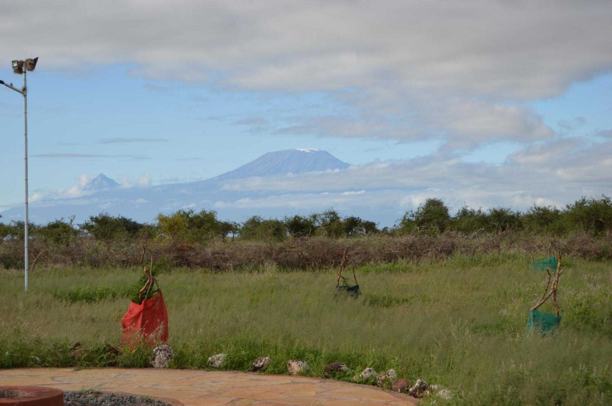 Wild Amboseli Ndovu Cottage. 外观 照片