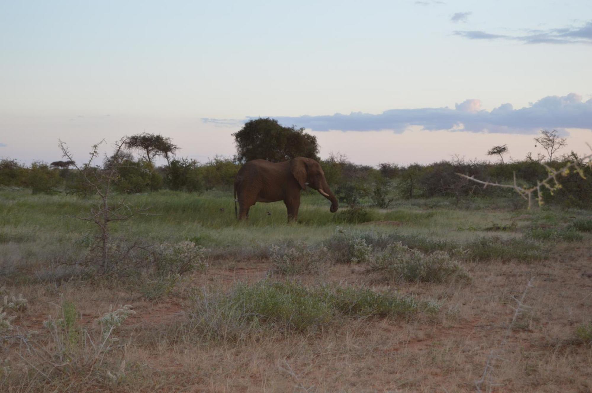 Wild Amboseli Ndovu Cottage. 外观 照片