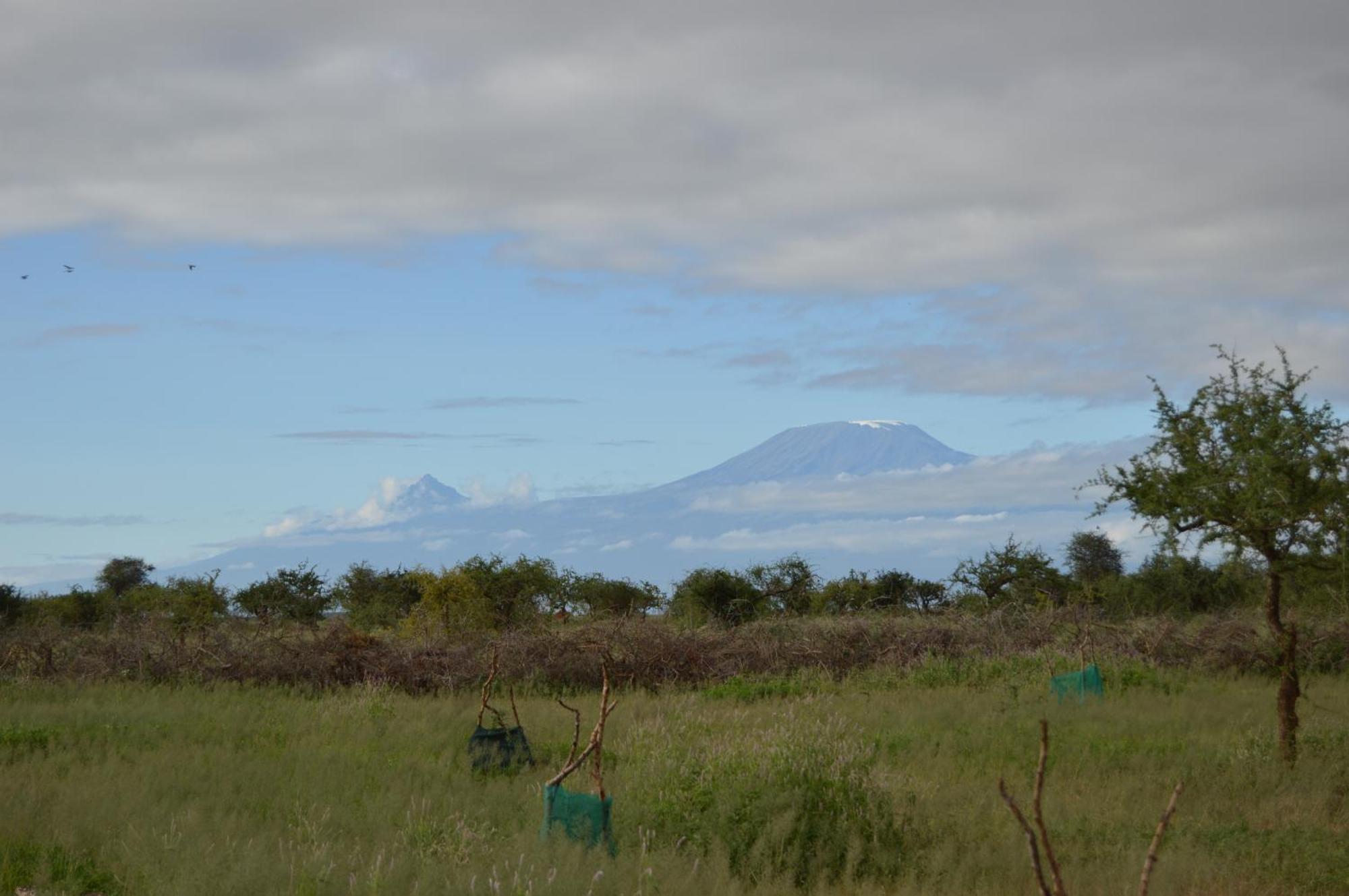 Wild Amboseli Ndovu Cottage. 外观 照片