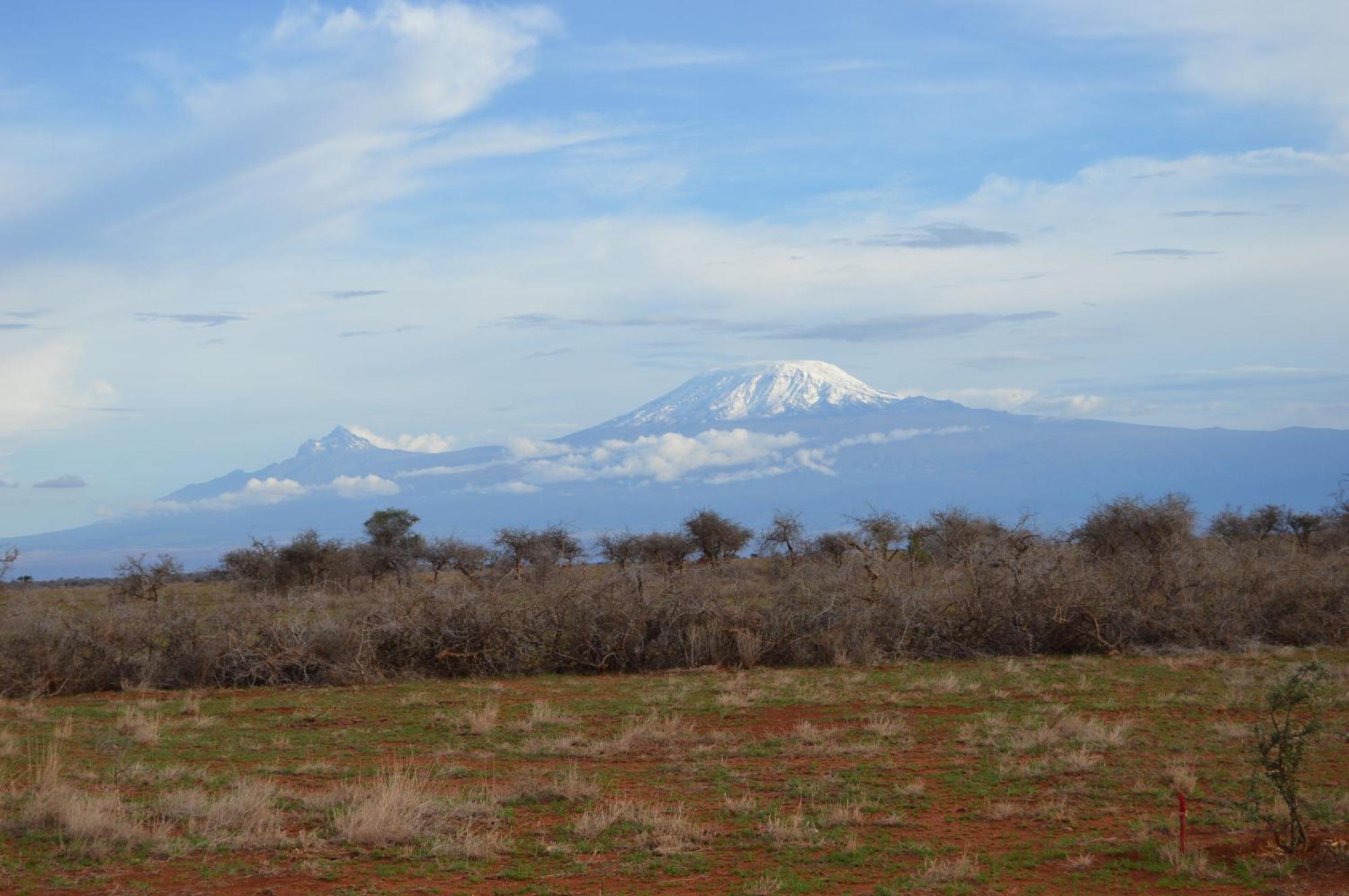 Wild Amboseli Ndovu Cottage. 外观 照片